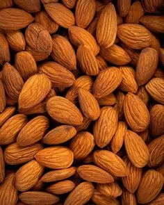 Premium organic Hunza almonds — handpicked from the Karakoram valleys of Gilgit-Baltistan. Rich in protein, healthy fats & Vitamin E. Perfect for daily snacking, gifting, or adding to desserts. 100% natural, sun-dried, and chemical-free.