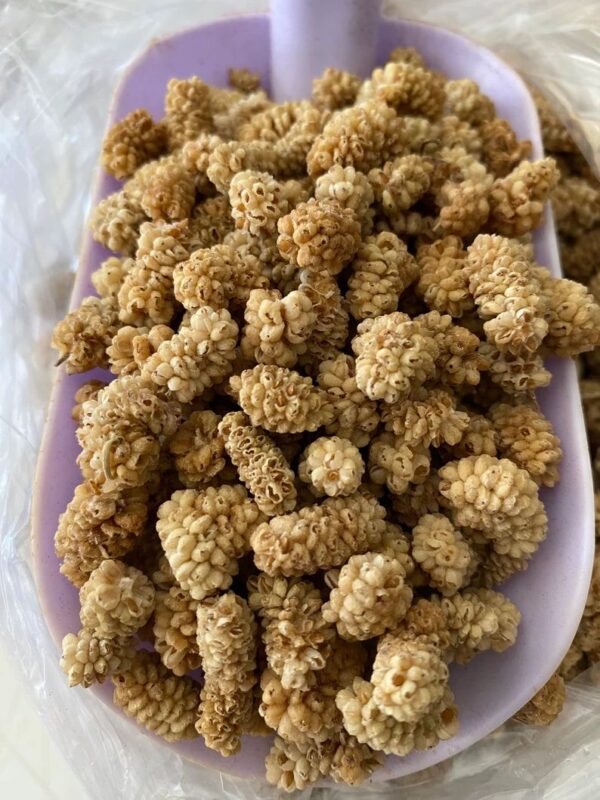 Hunza dry mulberry, organic shahtoot Pakistan, Gilgit-Baltistan dry fruits,