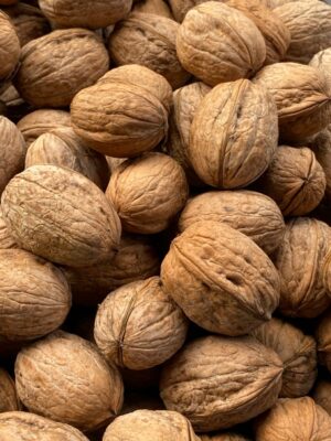 Hunza walnuts, organic walnuts Pakistan, Gilgit-Baltistan dry fruits,